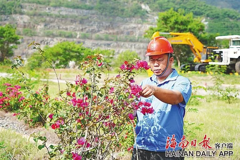米乐官网-米乐官网_米乐（中国）
这座矿山，为何这么绿？4.jpg